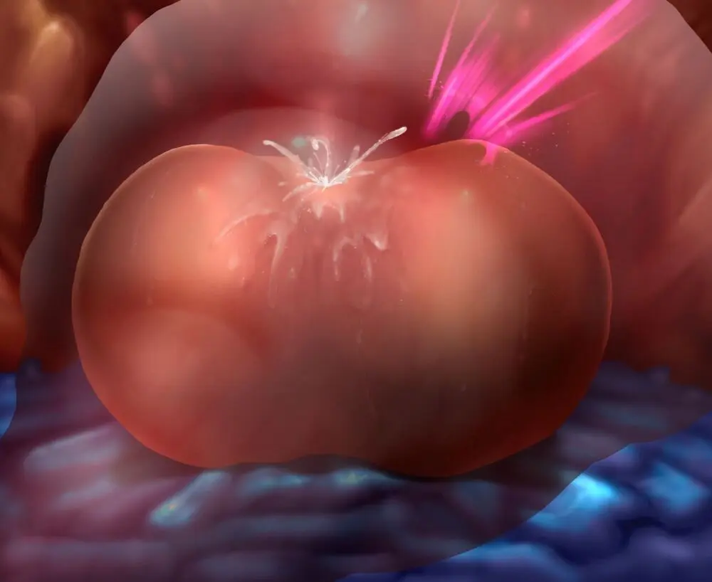 ログインミッションズ【モクレン編】～搦メ取ラレル女スパイ～ Page.278