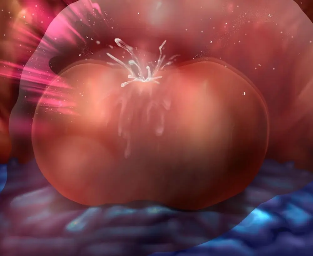 ログインミッションズ【モクレン編】～搦メ取ラレル女スパイ～ Page.279