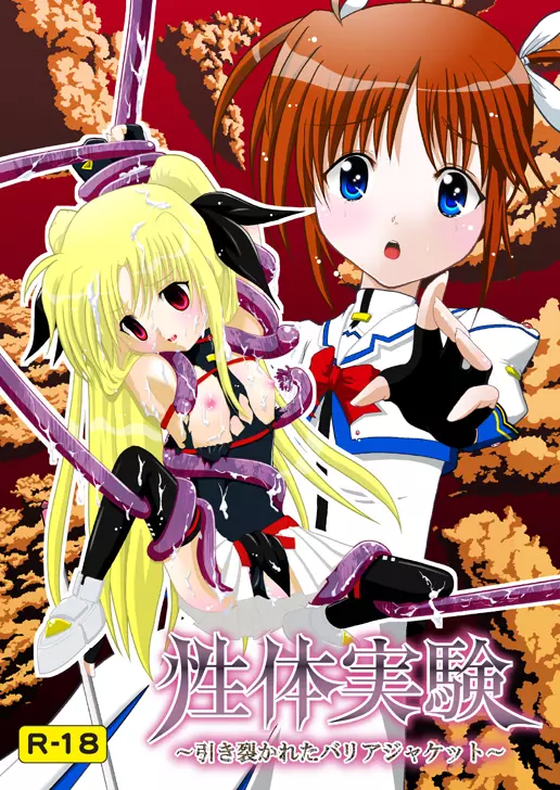 性体実験~引き裂かれたバリアジャケット~
