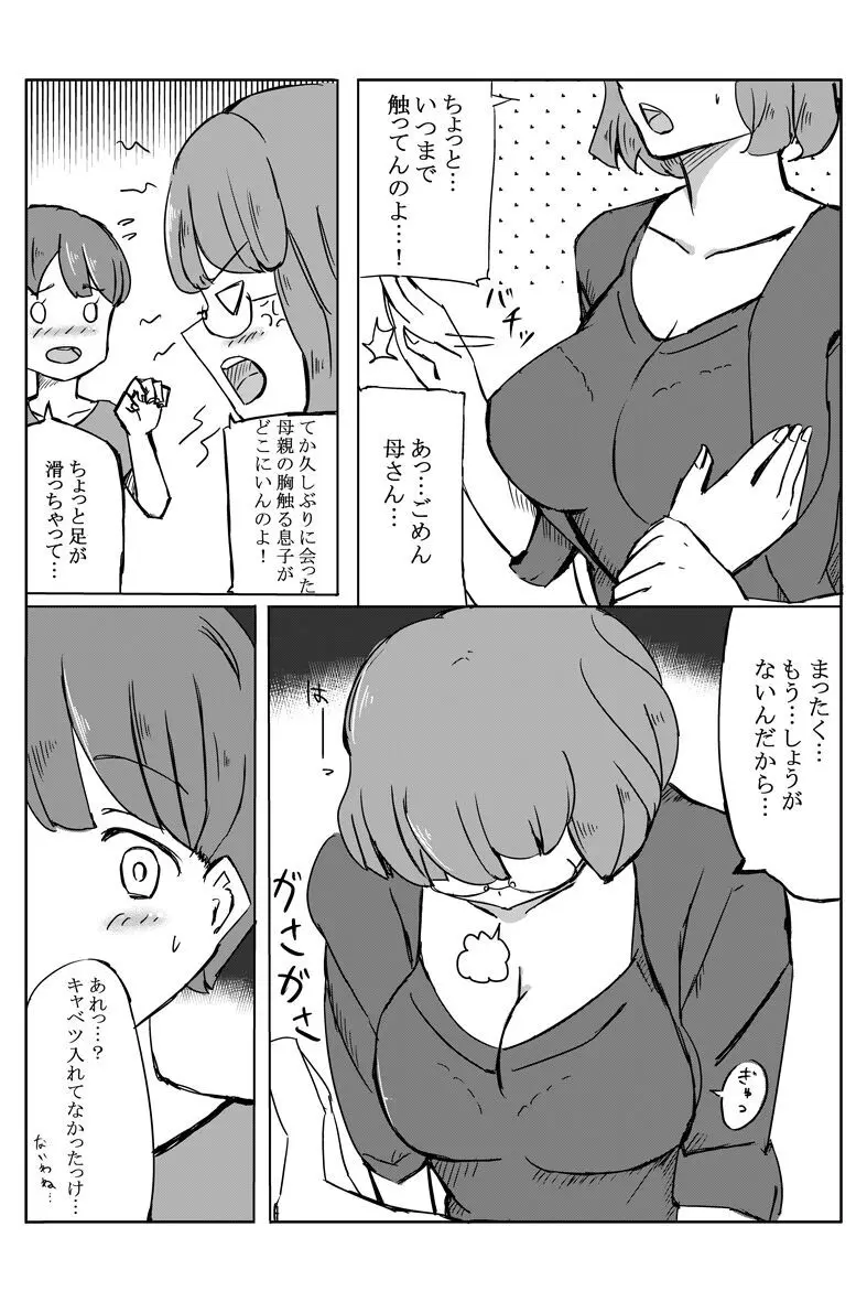 母の巨乳が気になったので泣き落としてみた Page.3