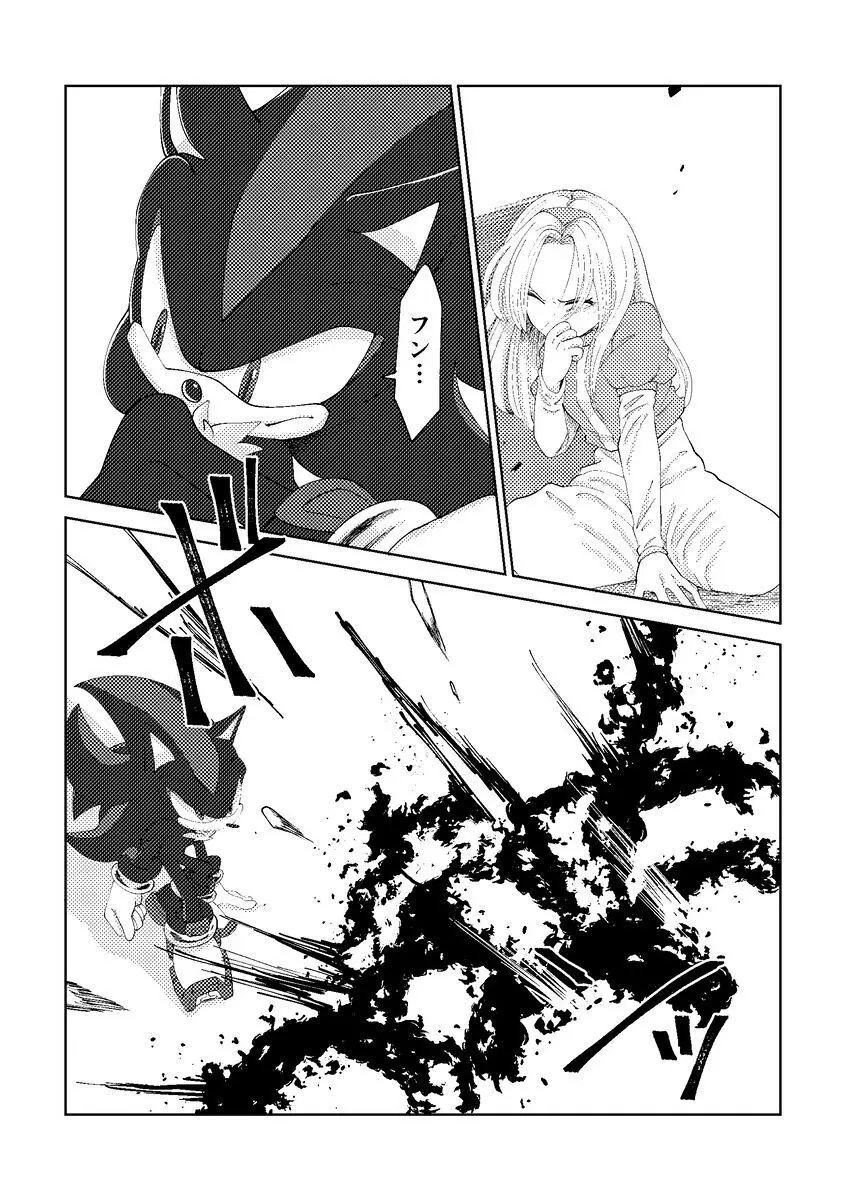 Black Bite Mark][sonic the hedgehog) Page.12