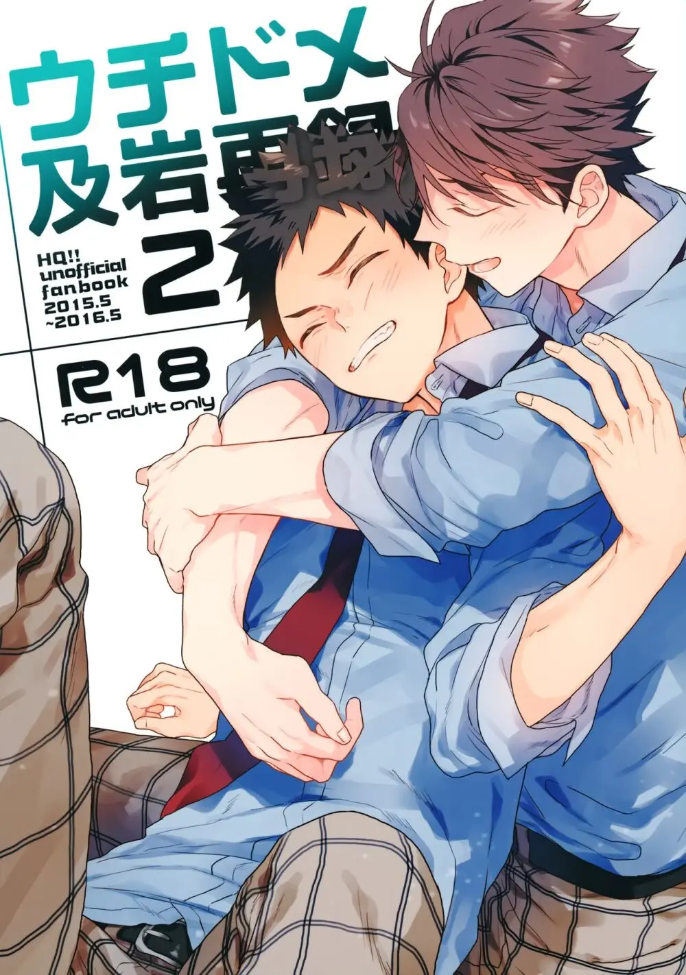 ウチドメ及岩再録2