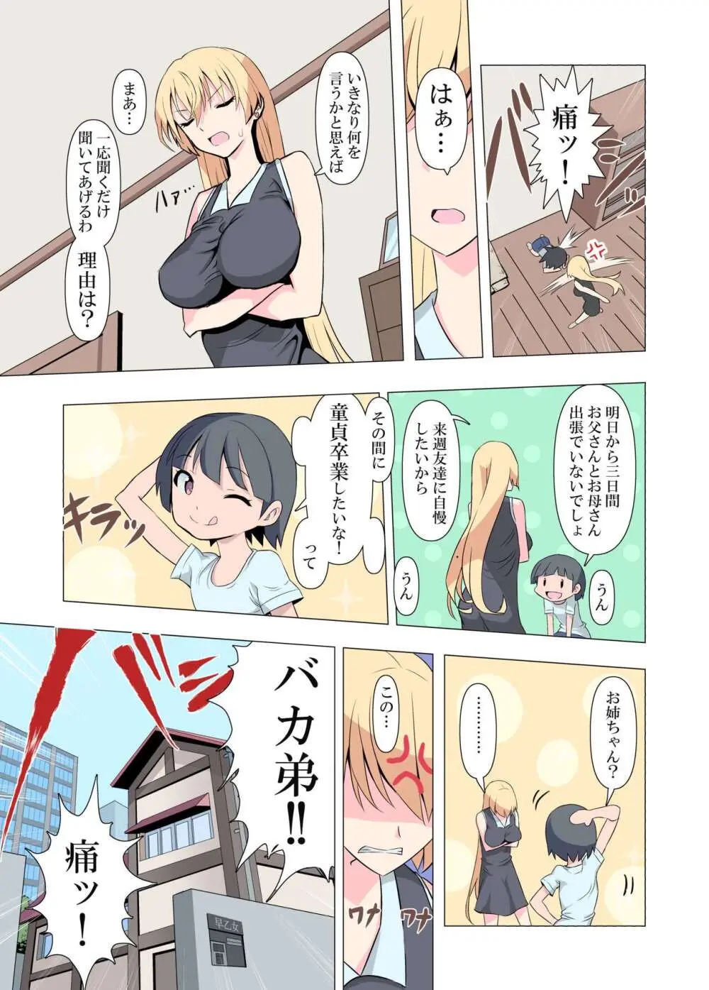 お姉ちゃんお願い!1回でいいからセックスさせて! Page.3