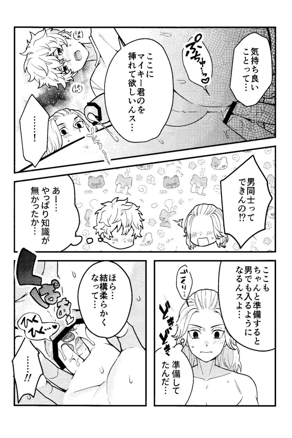 実は開発済です Page.10