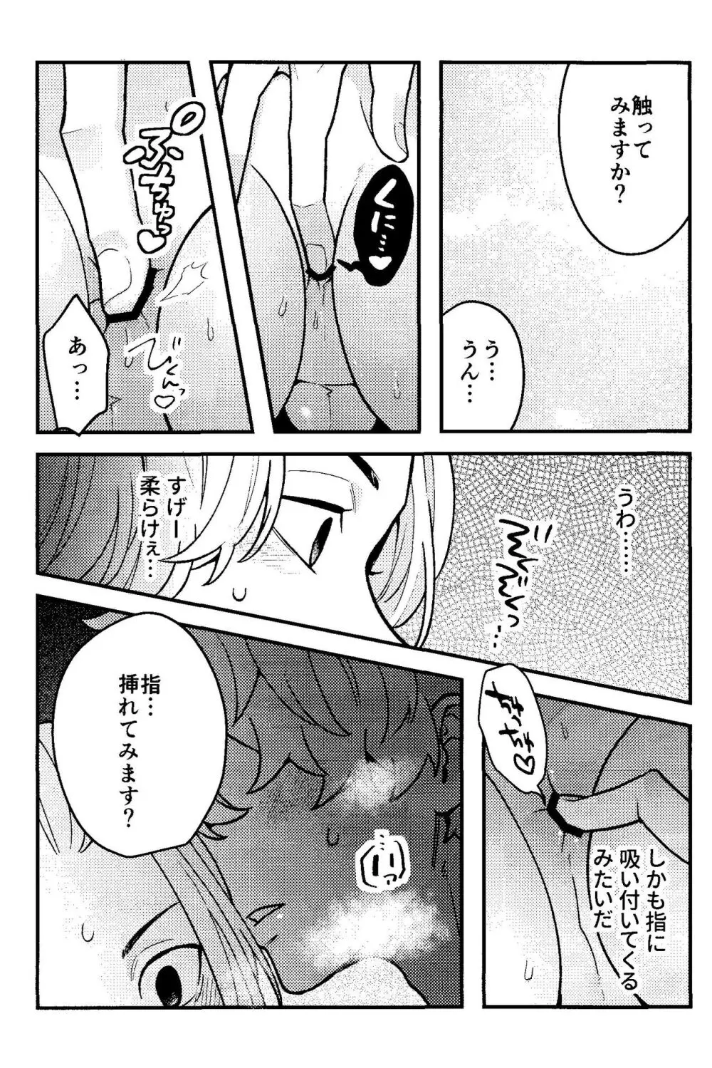 実は開発済です Page.11