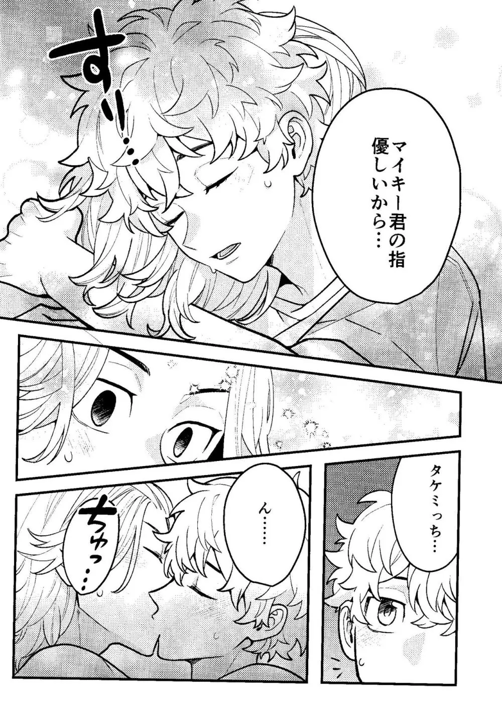 実は開発済です Page.13