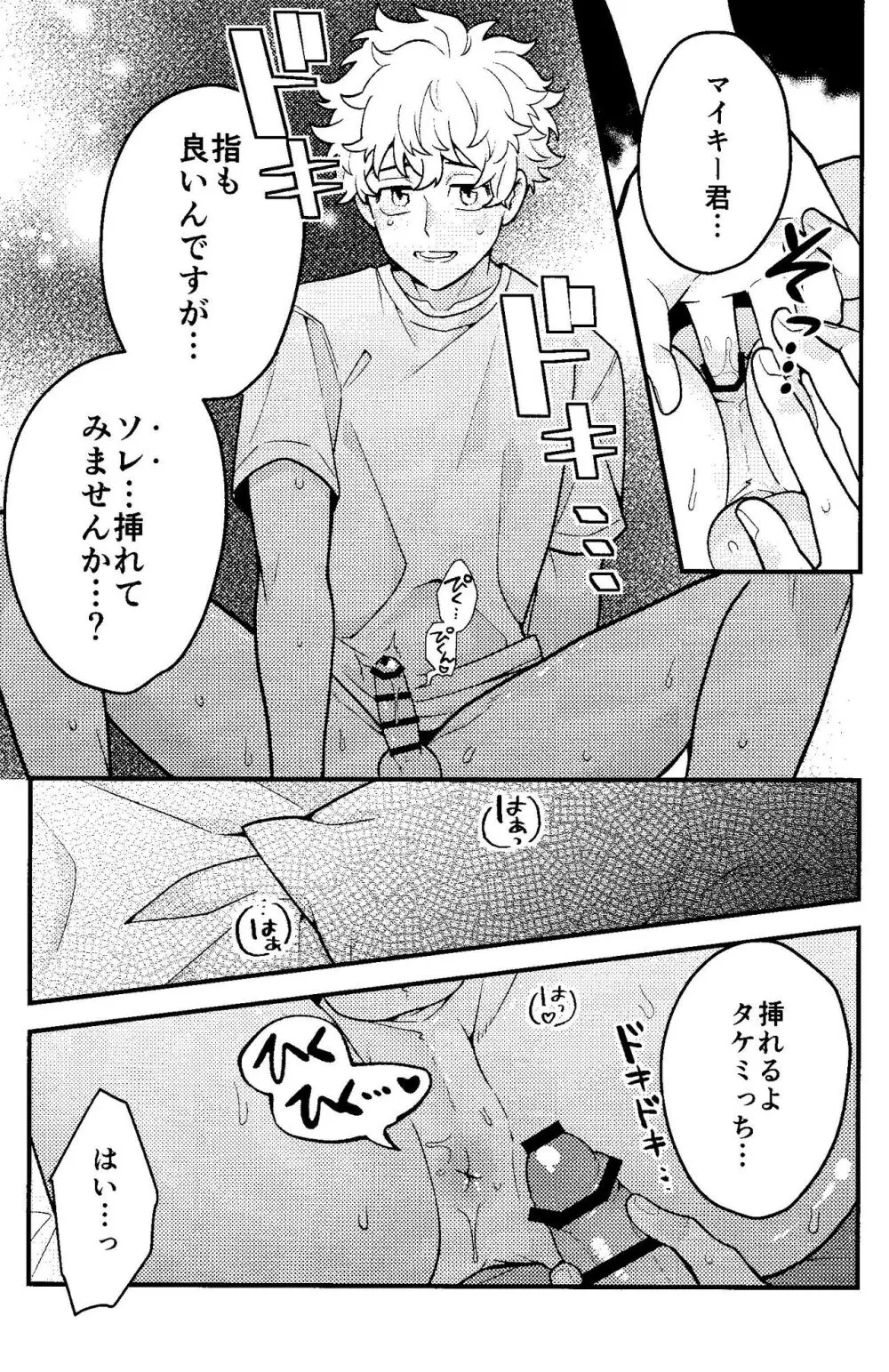 実は開発済です Page.16