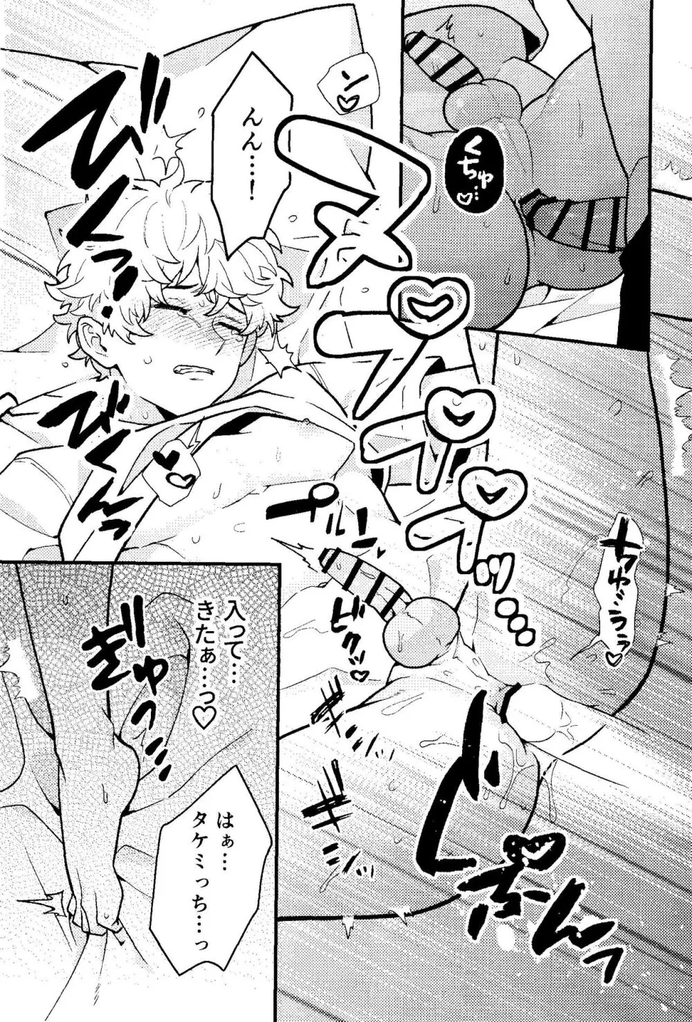 実は開発済です Page.17