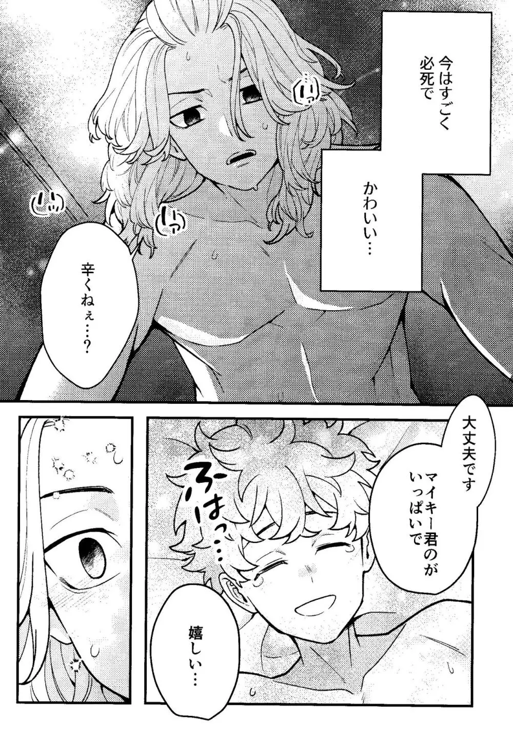 実は開発済です Page.19