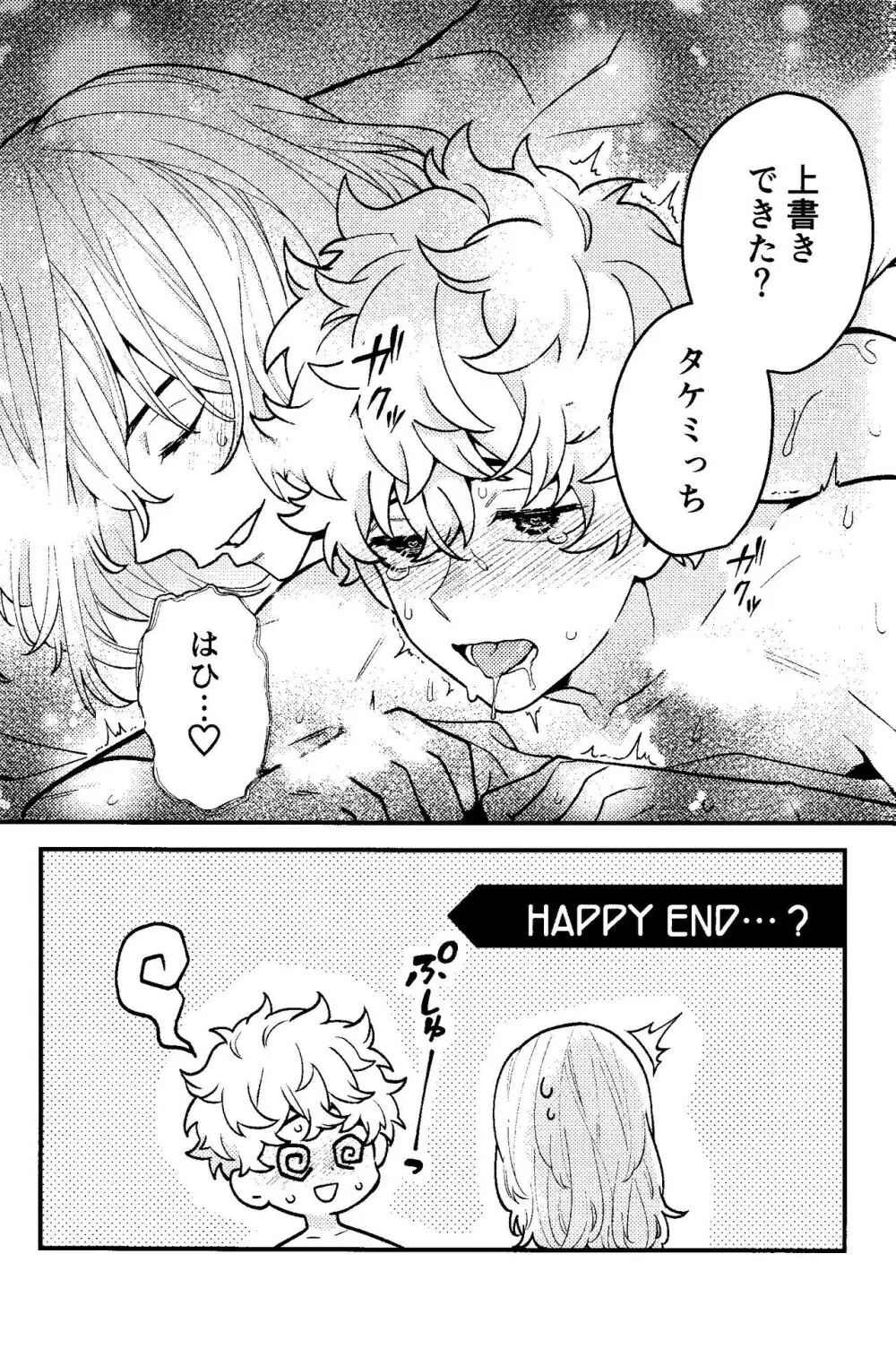 実は開発済です Page.30