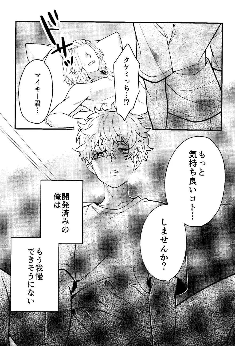 実は開発済です Page.9