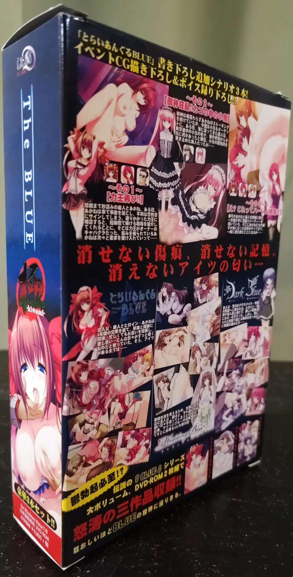 The BLUE 極 Boxart and Manual Page.2