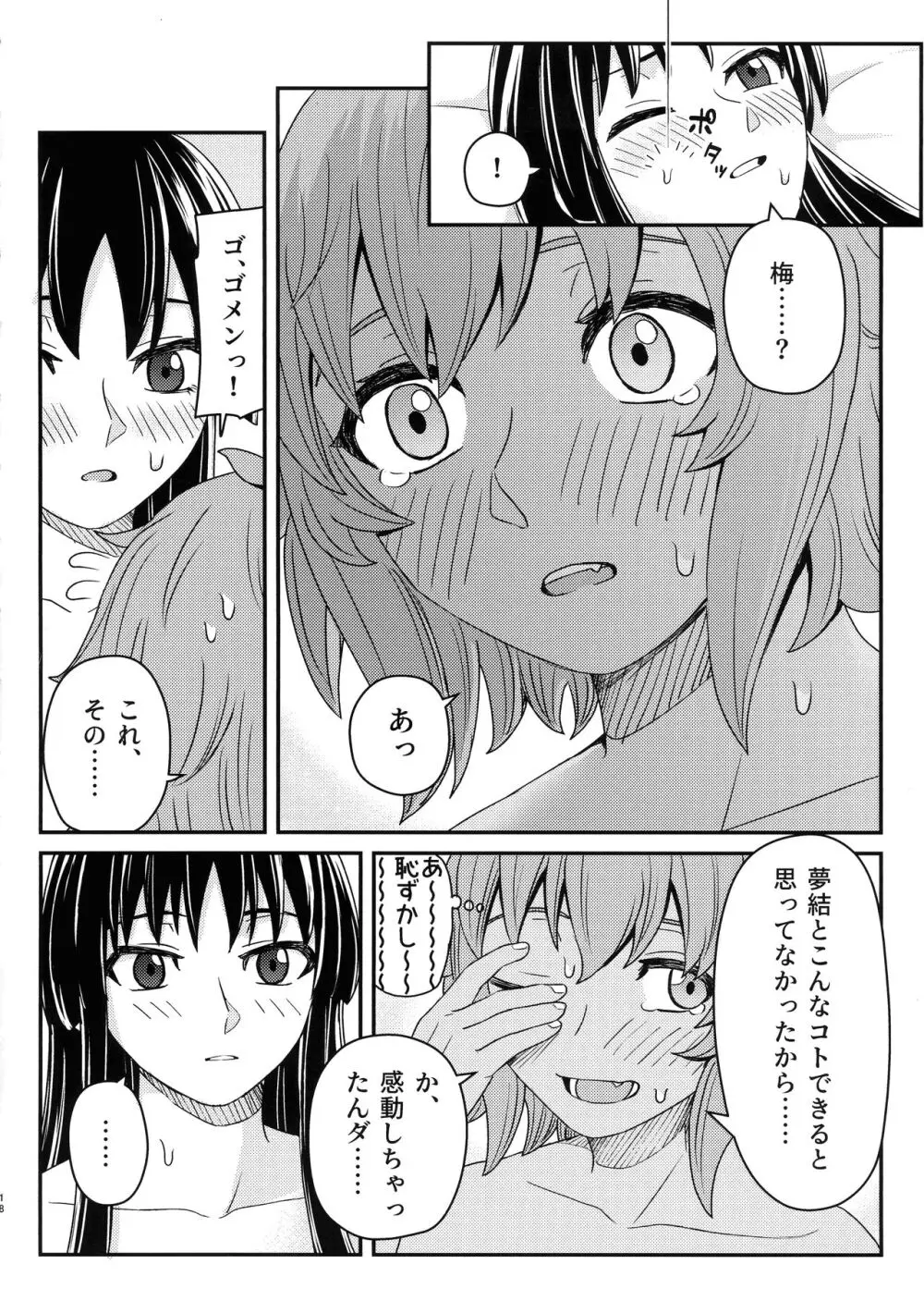 コサージュ Page.17