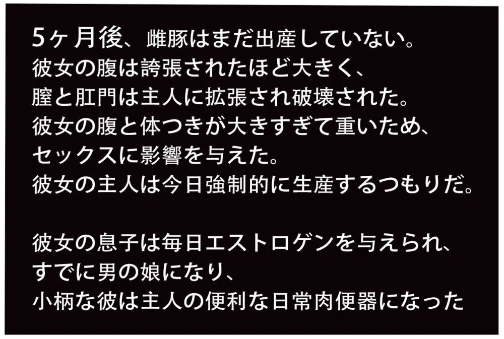 雌豚奴隷母,孕ませられる～後編 Page.12