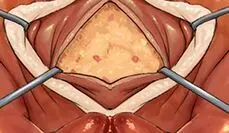 goblin potato 作品 Page.112