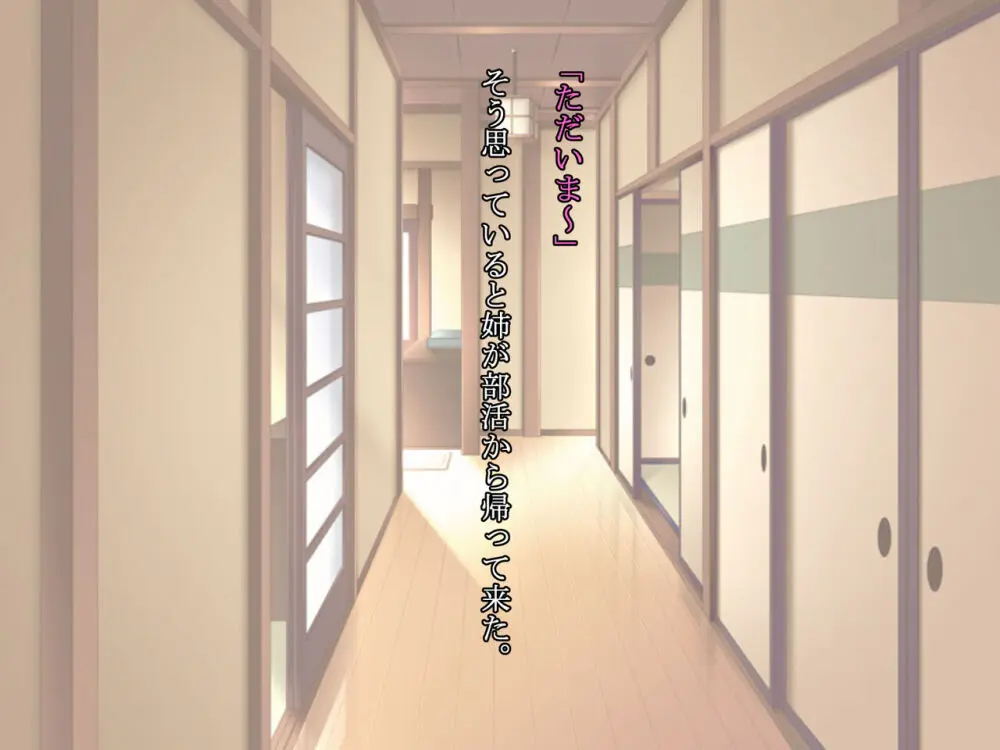 久しぶりに姉ちゃんと風呂に入ったら、体がすごかった… Page.6