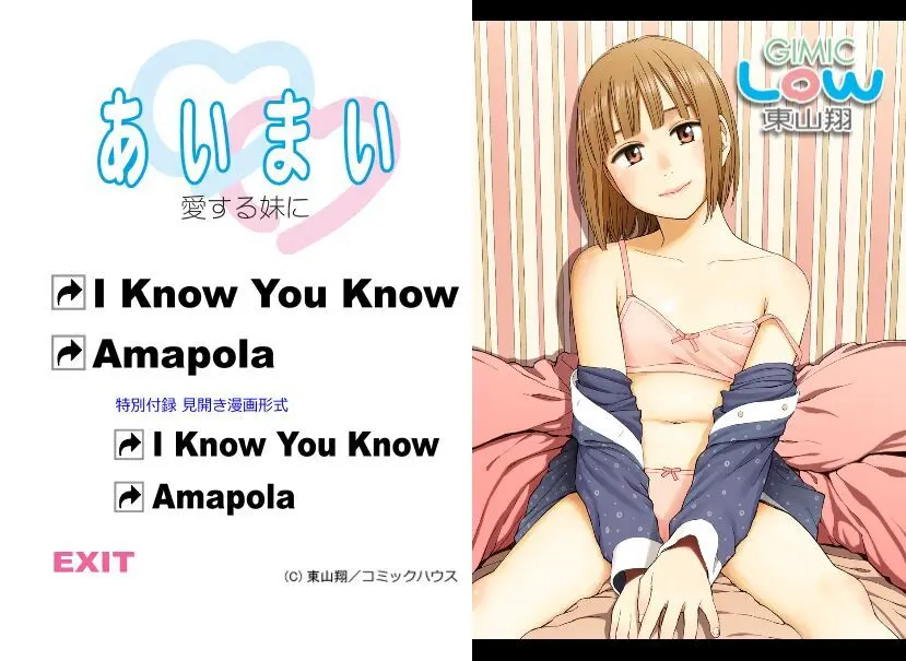 あいまい ~Gimic LOw 東山翔~