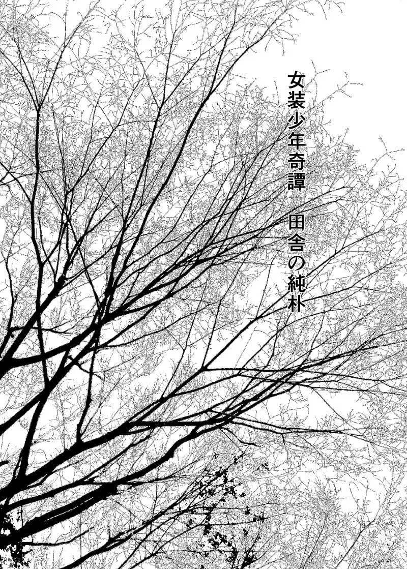 女装少年奇譚 田舎の純朴 Page.2