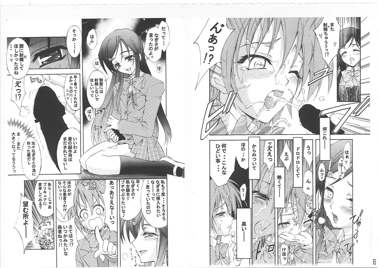 KAISHAKU PC 20TH Page.224