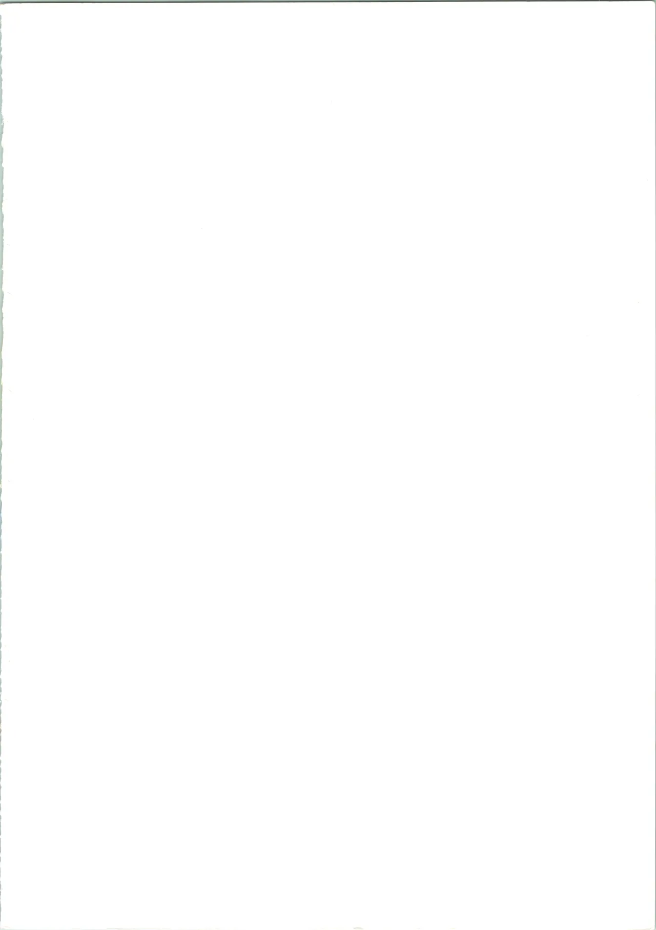GOTTUI IV Page.3