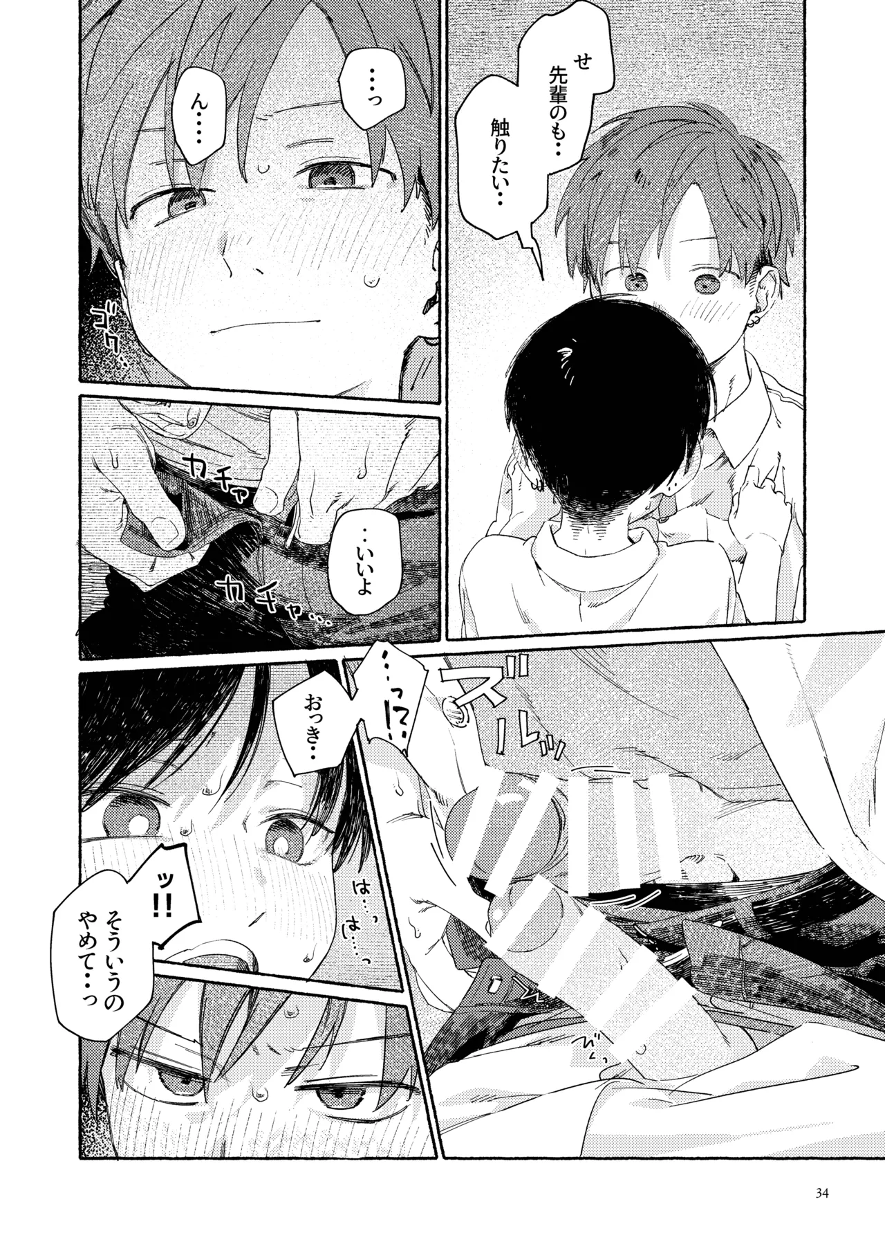 南東バックヤード Page.36