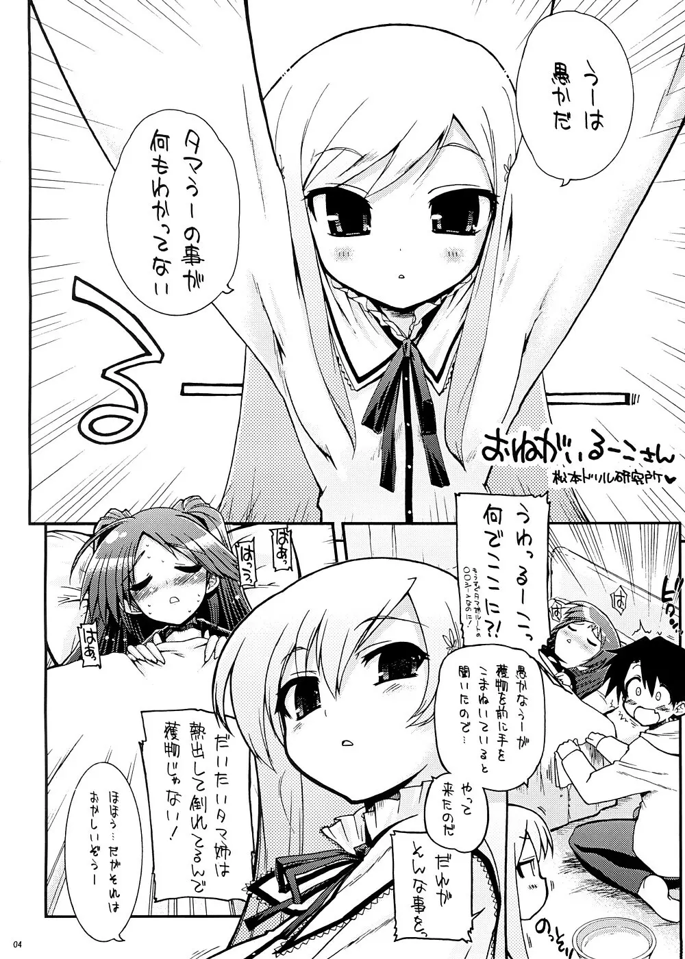 もうおっぱいと言えばタマ姉なんだよ！ Page.3