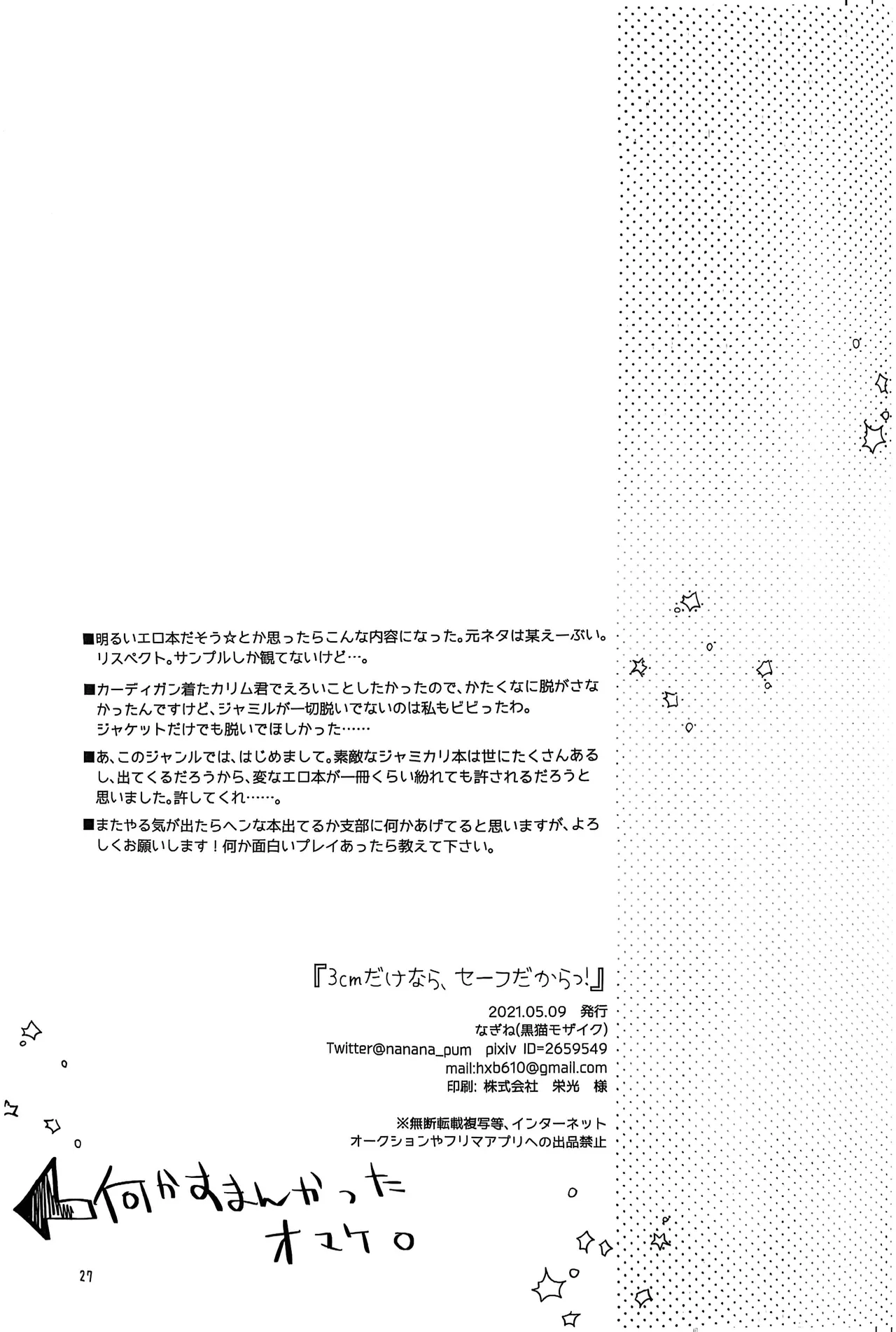 3 CM is Safe! Page.25