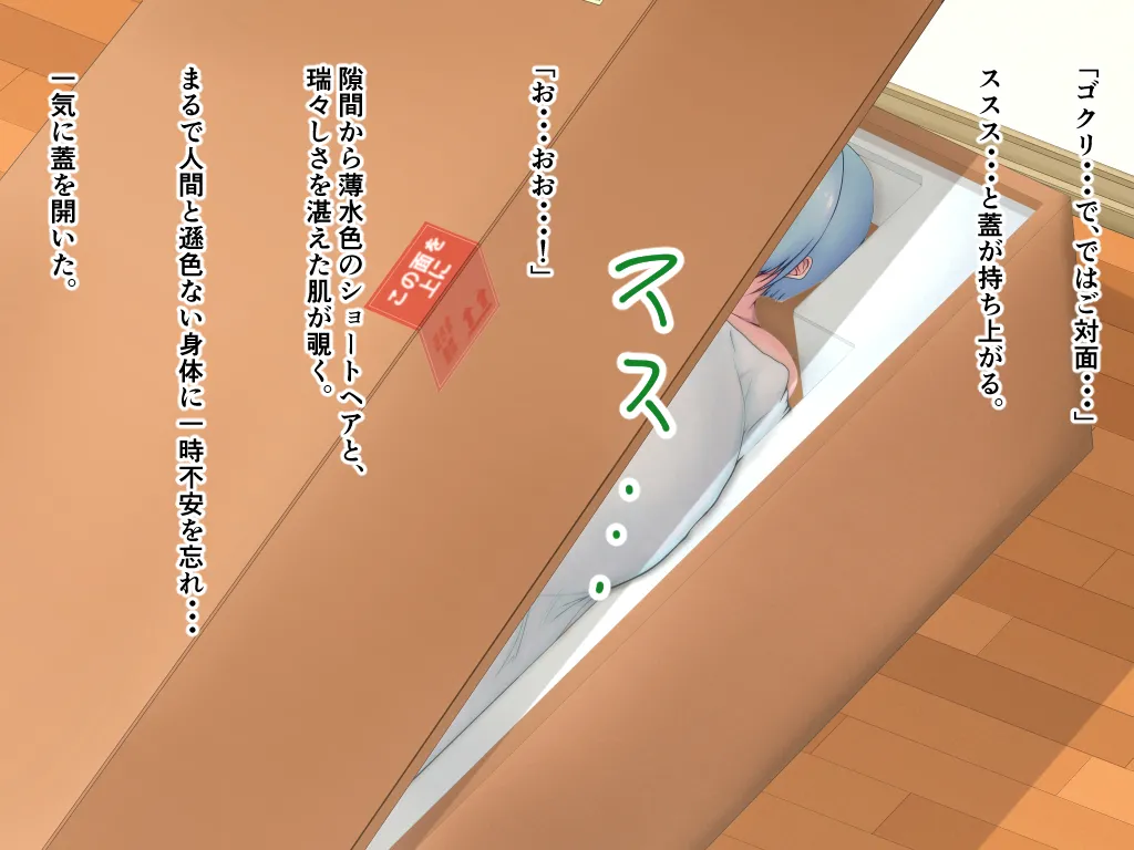 「ワケあり」格安セクサロイドを衝動買いしたら、 超乳○リ少女が届いた。 Page.5