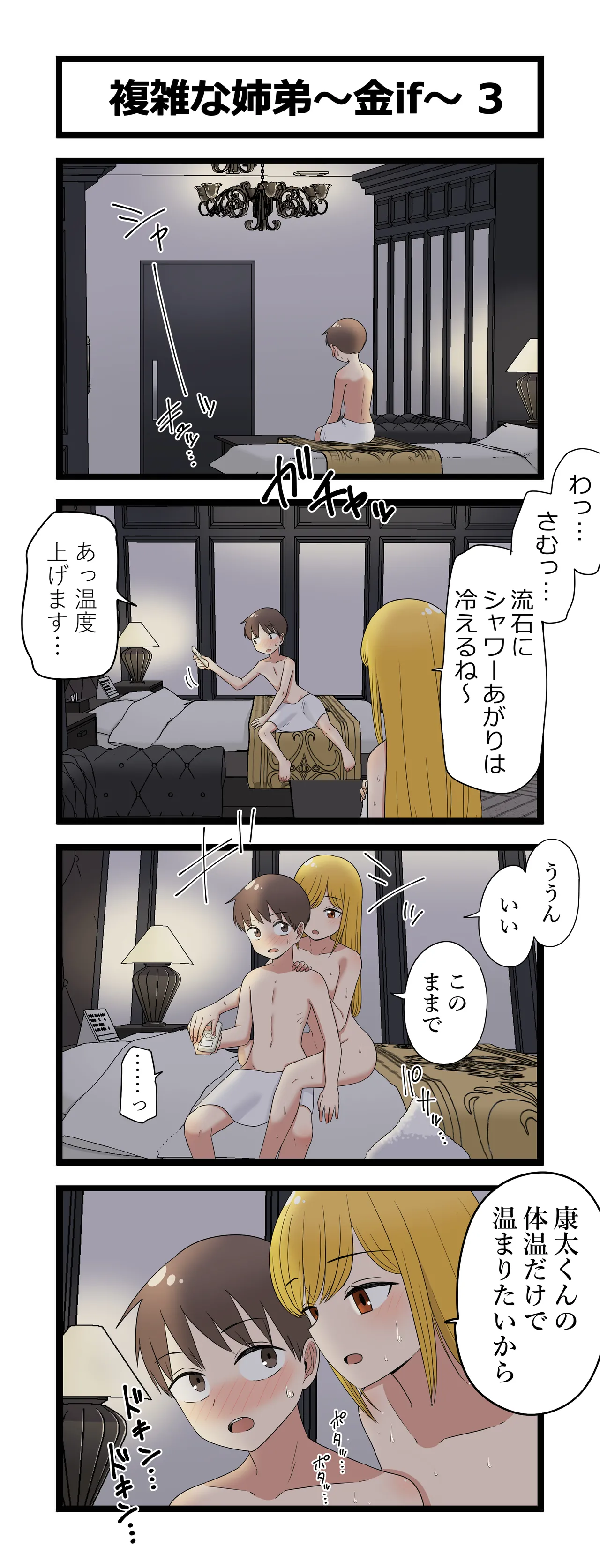 複雑な姉弟～金if～ Page.3