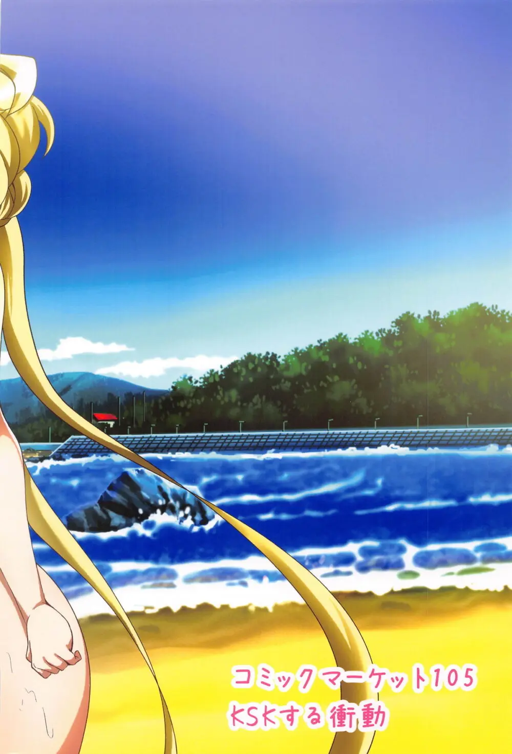 キャロルINサマービーチ Page.26