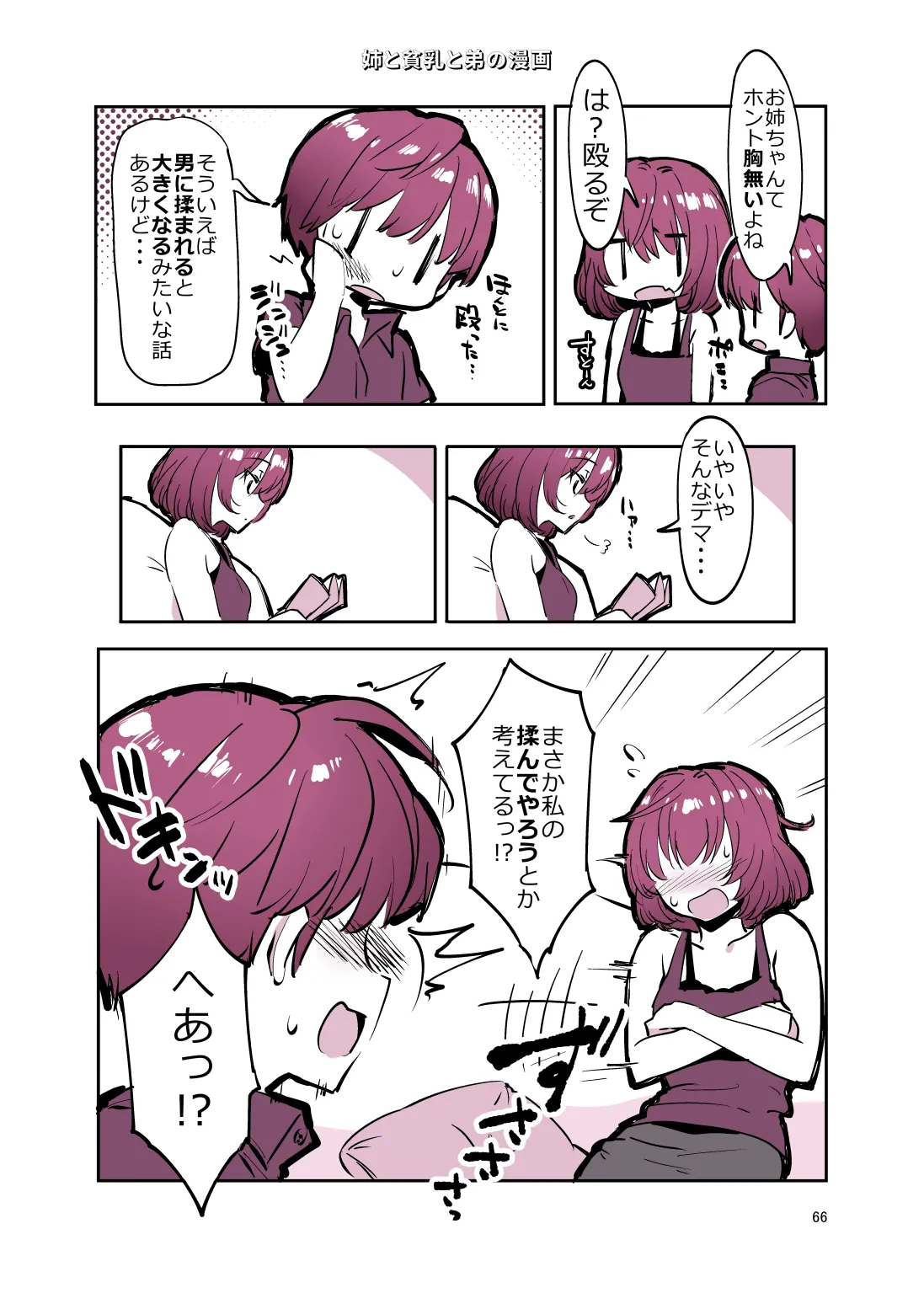姉弟まとめ：姉 Page.65