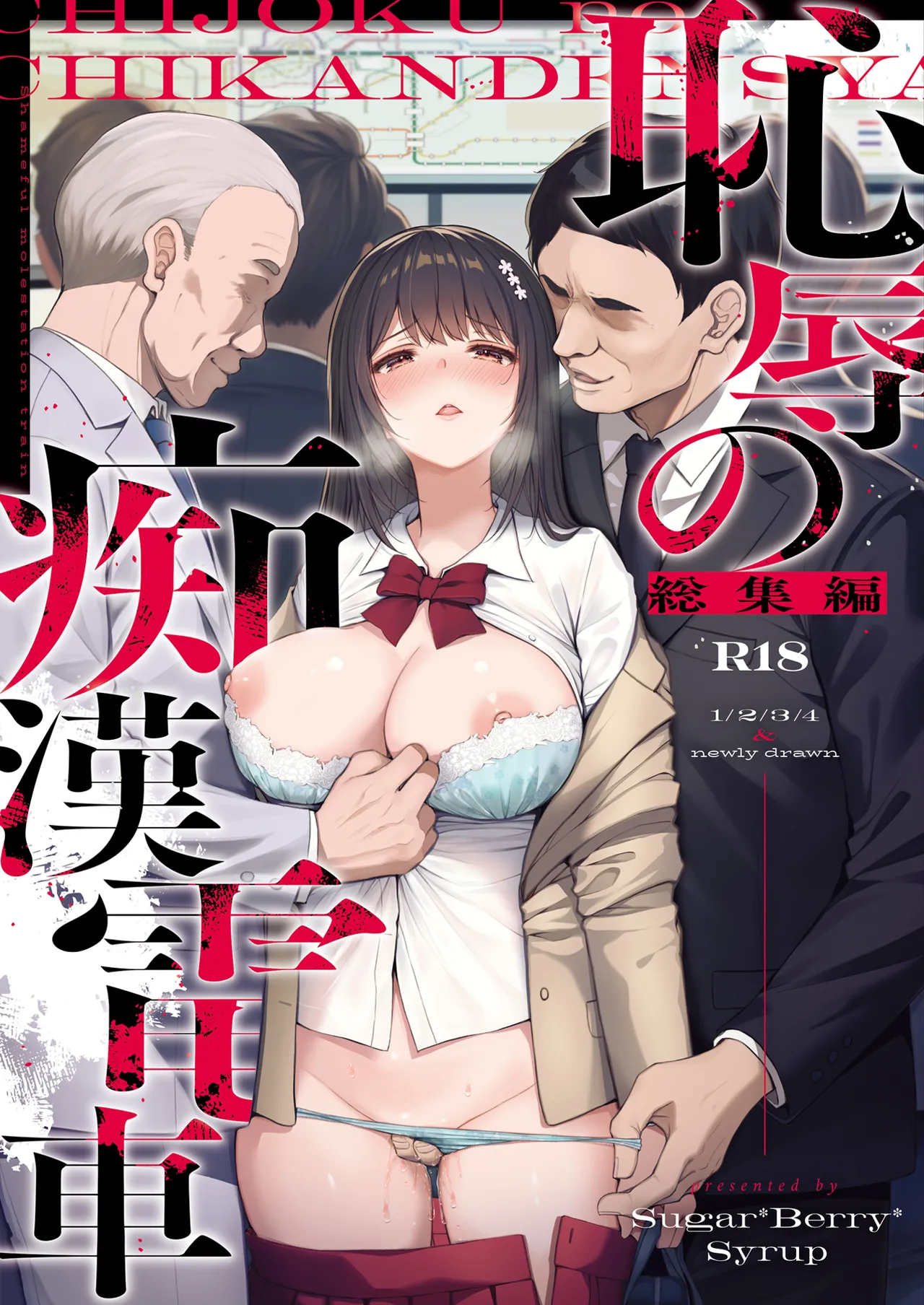 恥辱の痴漢電車 総集編