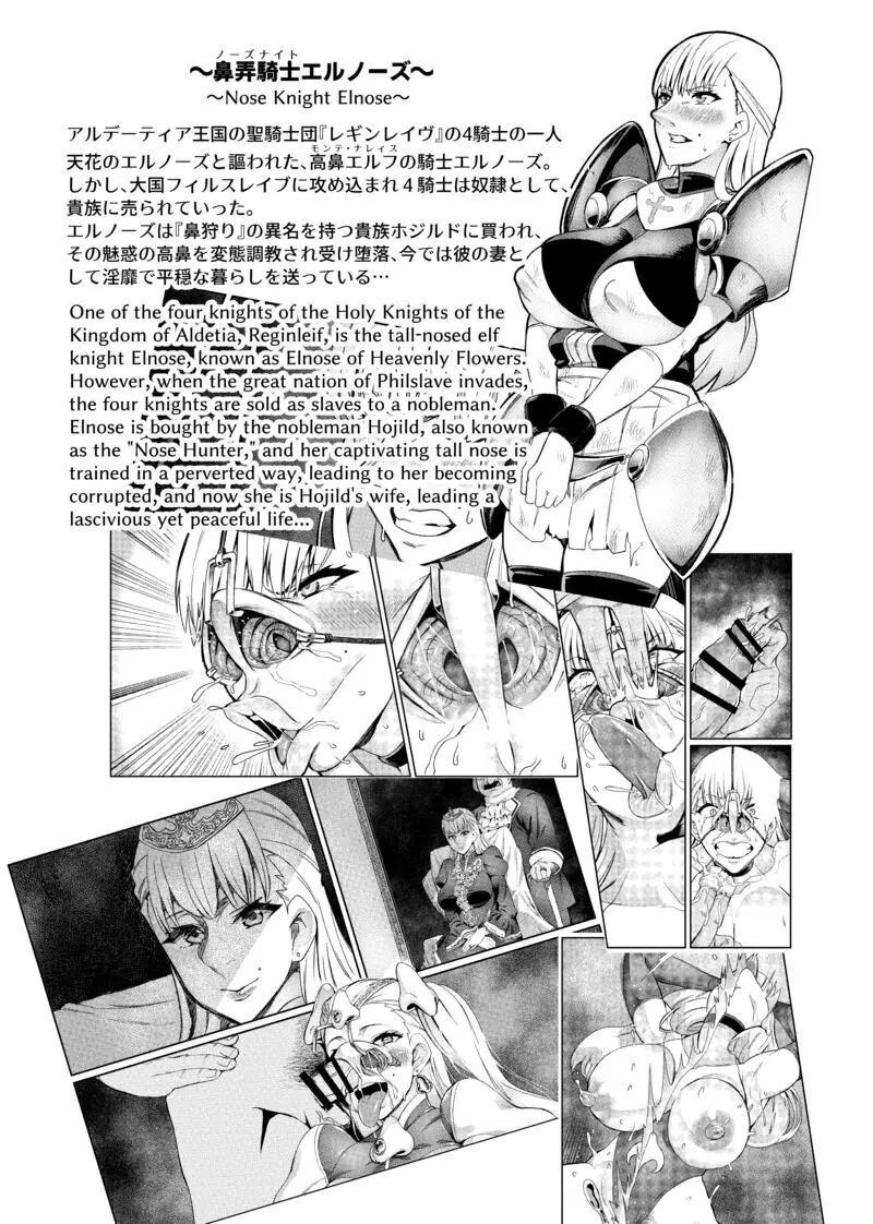 【単発】元鼻弄騎士エルノーズ 夜の営み
