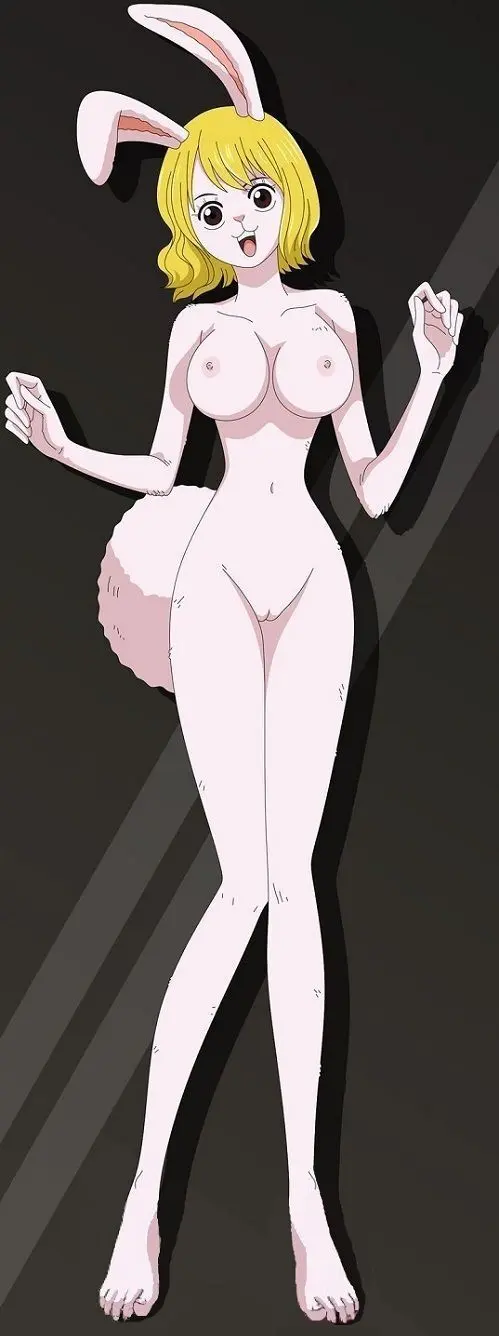 one piece fav Page.9