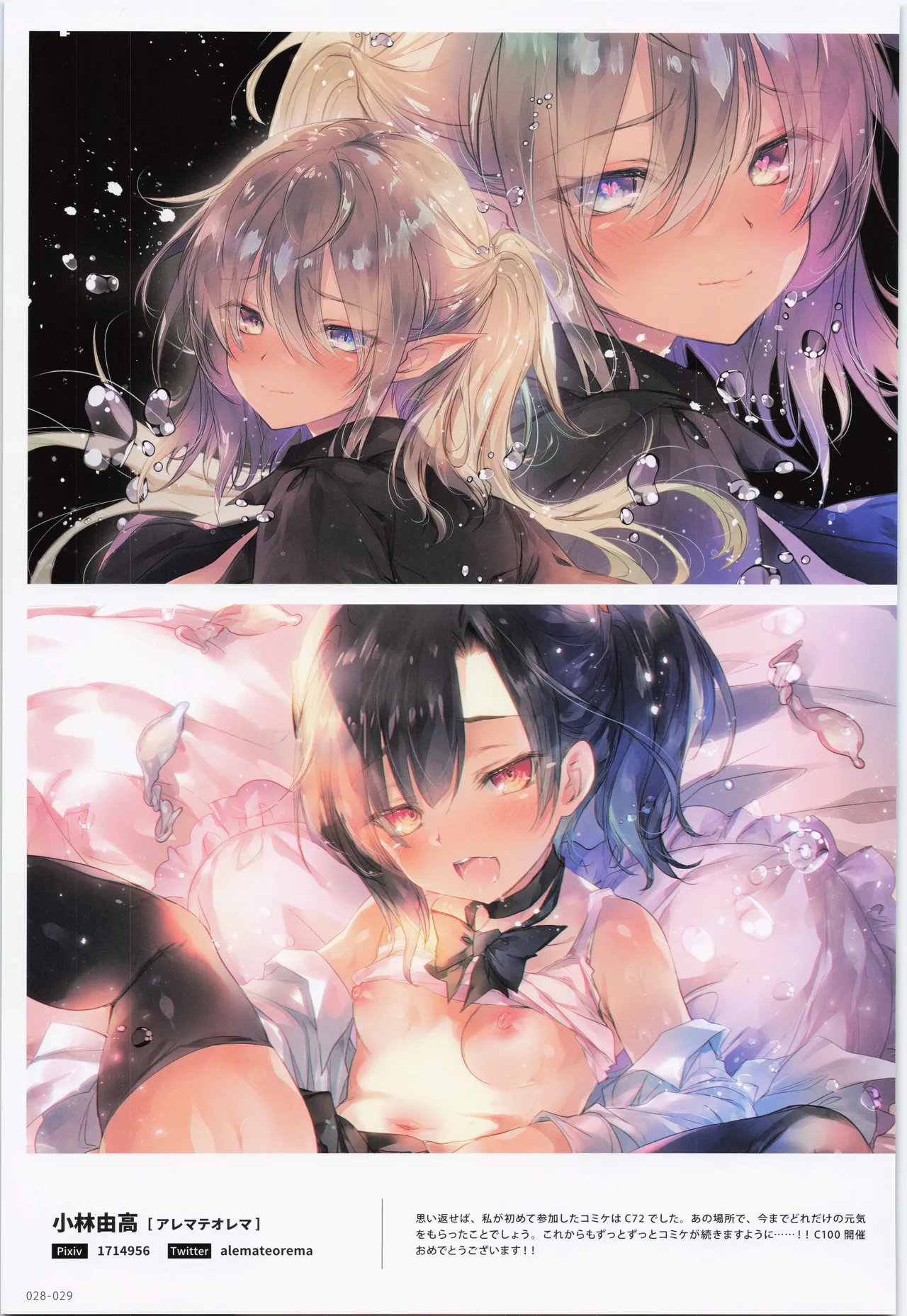 ComicMarket100 ExclusiveGift Limited Edition ～ELEGANT～ Page.29