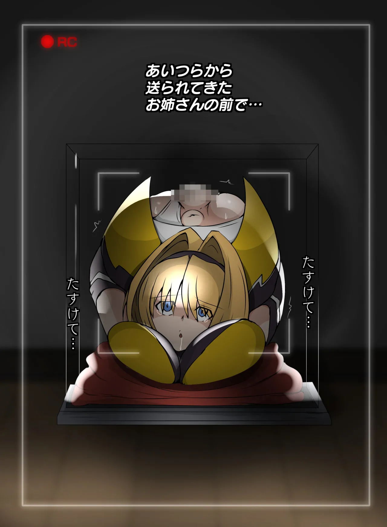 箱化処理される超昂閃忍ハルカ Page.14