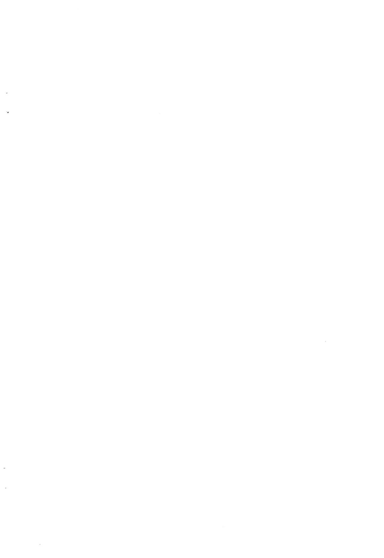 シロとの時間 ～平成最後の・・・編～ Page.2