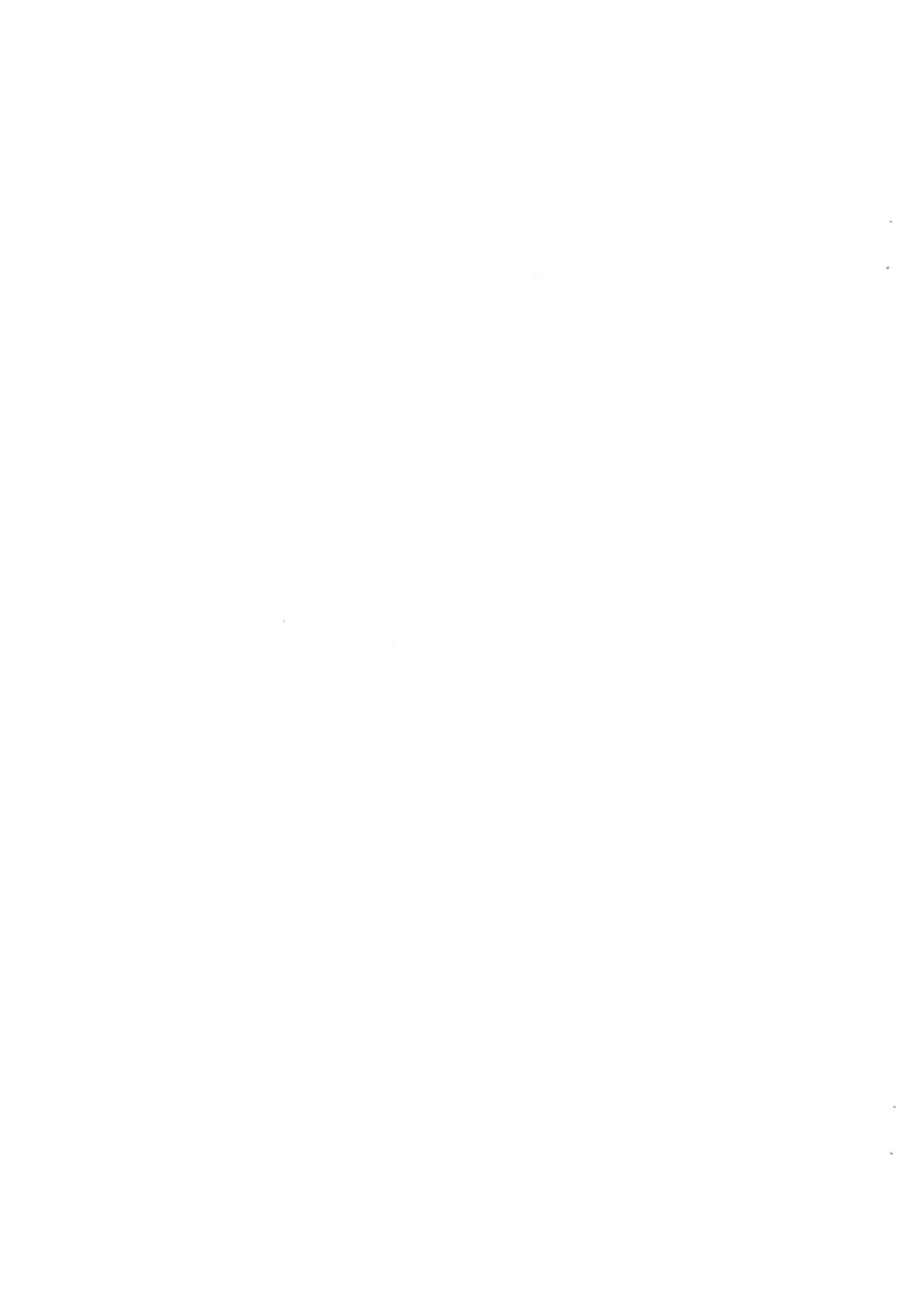 シロとの時間 ～平成最後の・・・編～ Page.3