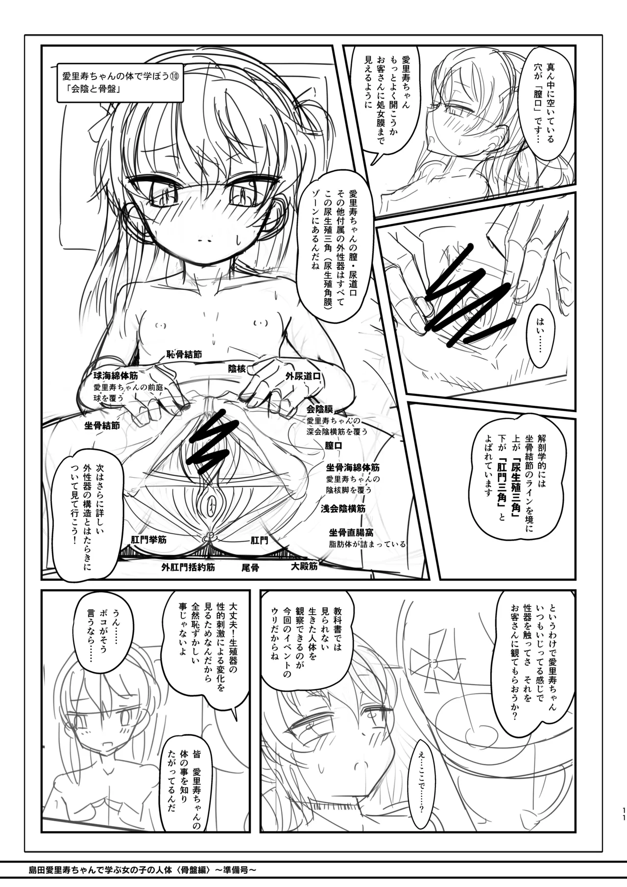 島田愛里寿ちゃんで学ぶ女の子の人体〈骨盤編〉下巻［準備号］ Page.11