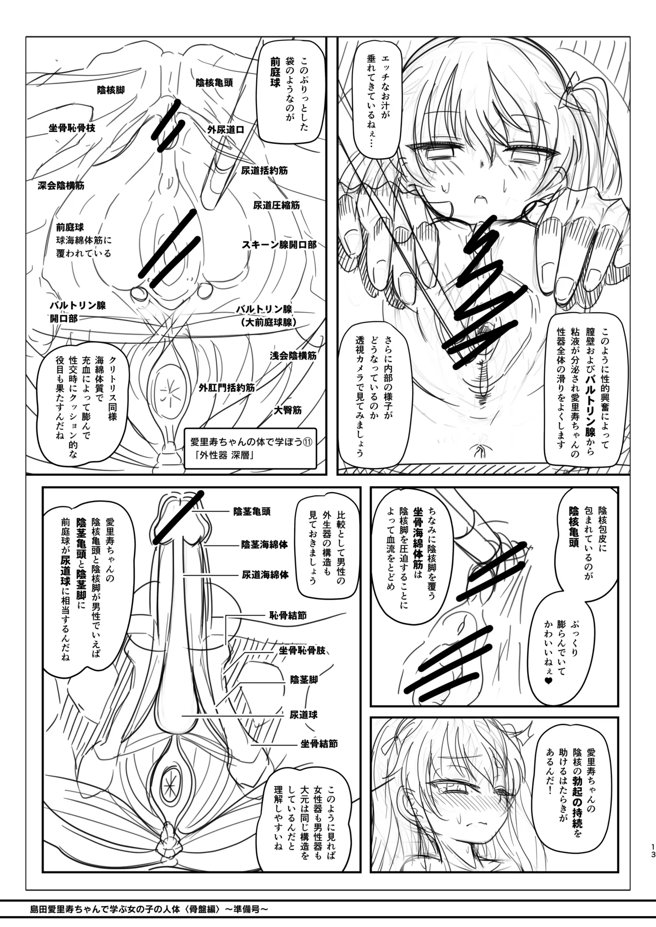 島田愛里寿ちゃんで学ぶ女の子の人体〈骨盤編〉下巻［準備号］ Page.13