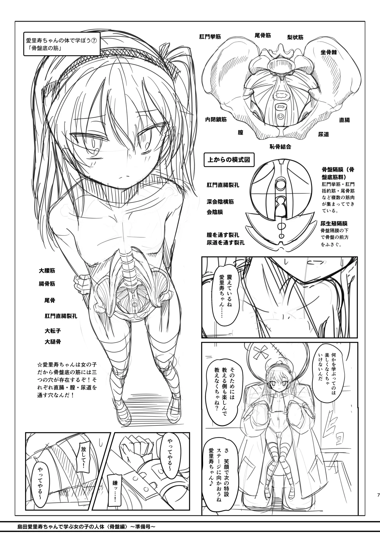 島田愛里寿ちゃんで学ぶ女の子の人体〈骨盤編〉下巻［準備号］ Page.7