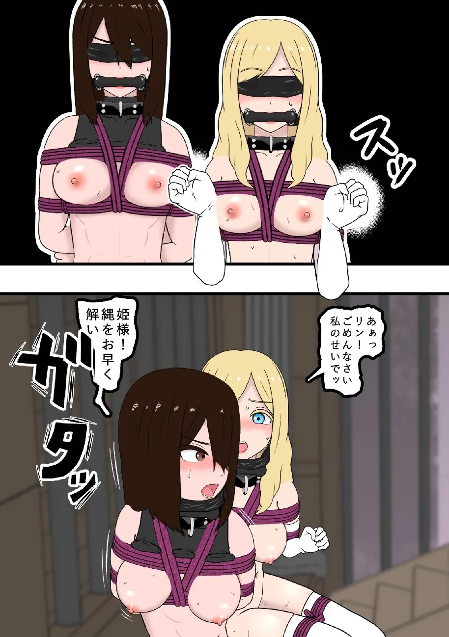 騎士・姫敗北拘束記録 Page.8