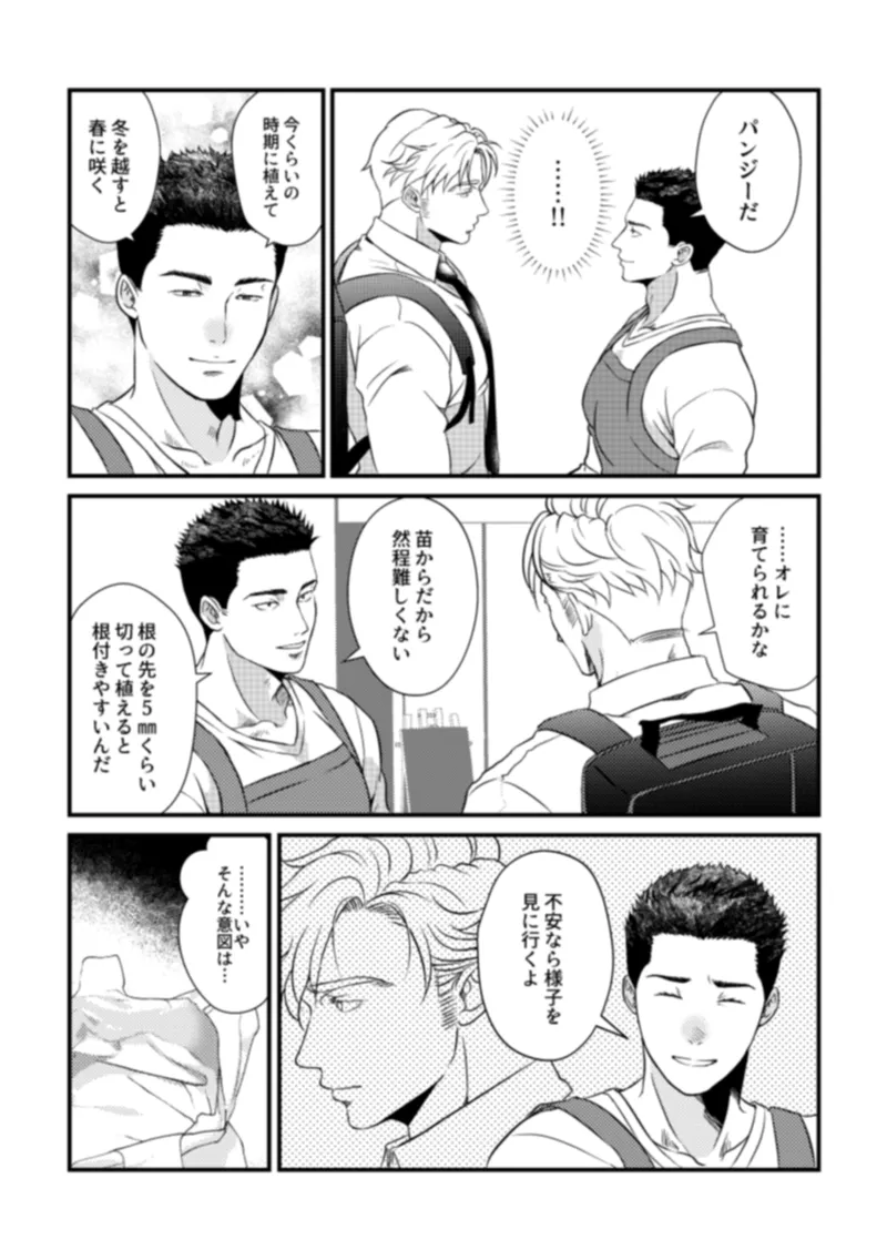 - Pansies in love Page.22