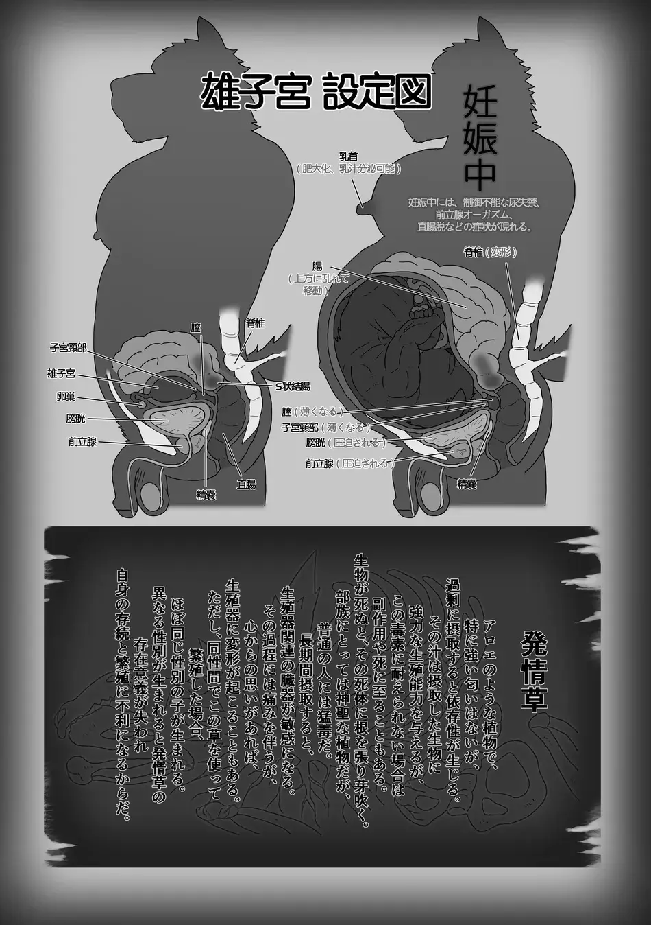 The Wild Secluded Region 3 Page.56