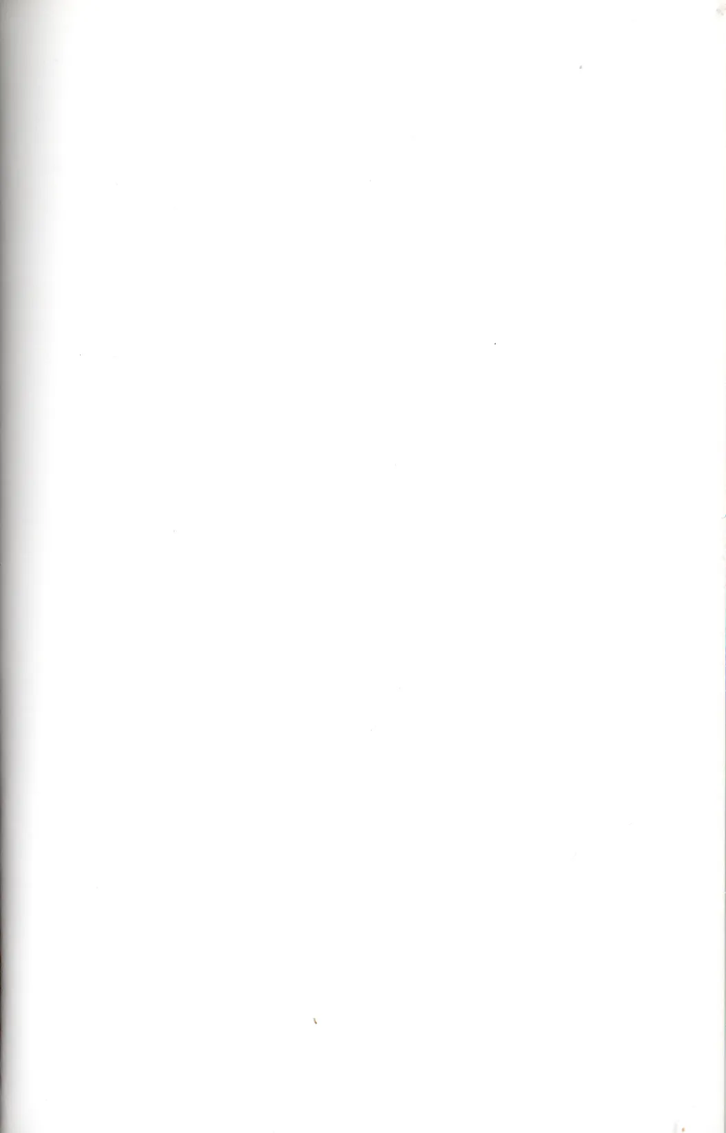 Maeba Daikaiten Page.2