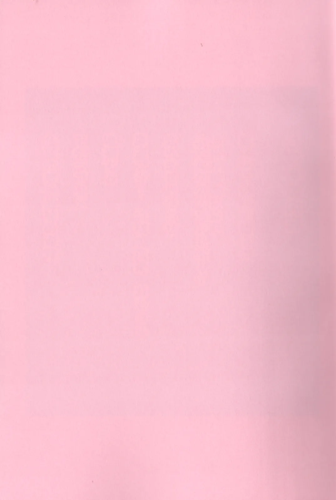 Now that I’ve got a futanari, let’s make a baby! Page.3