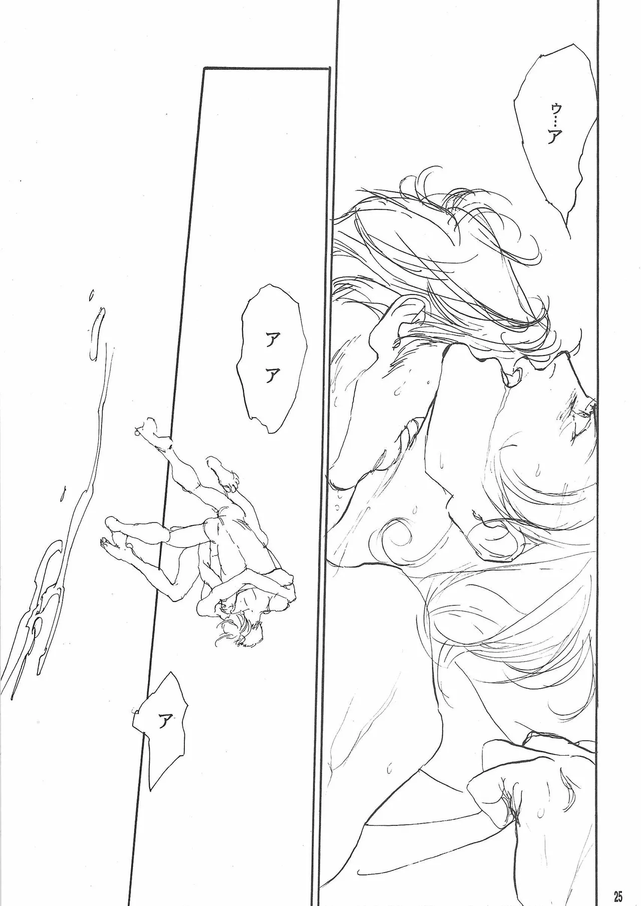 Universal Glavitation Page.24