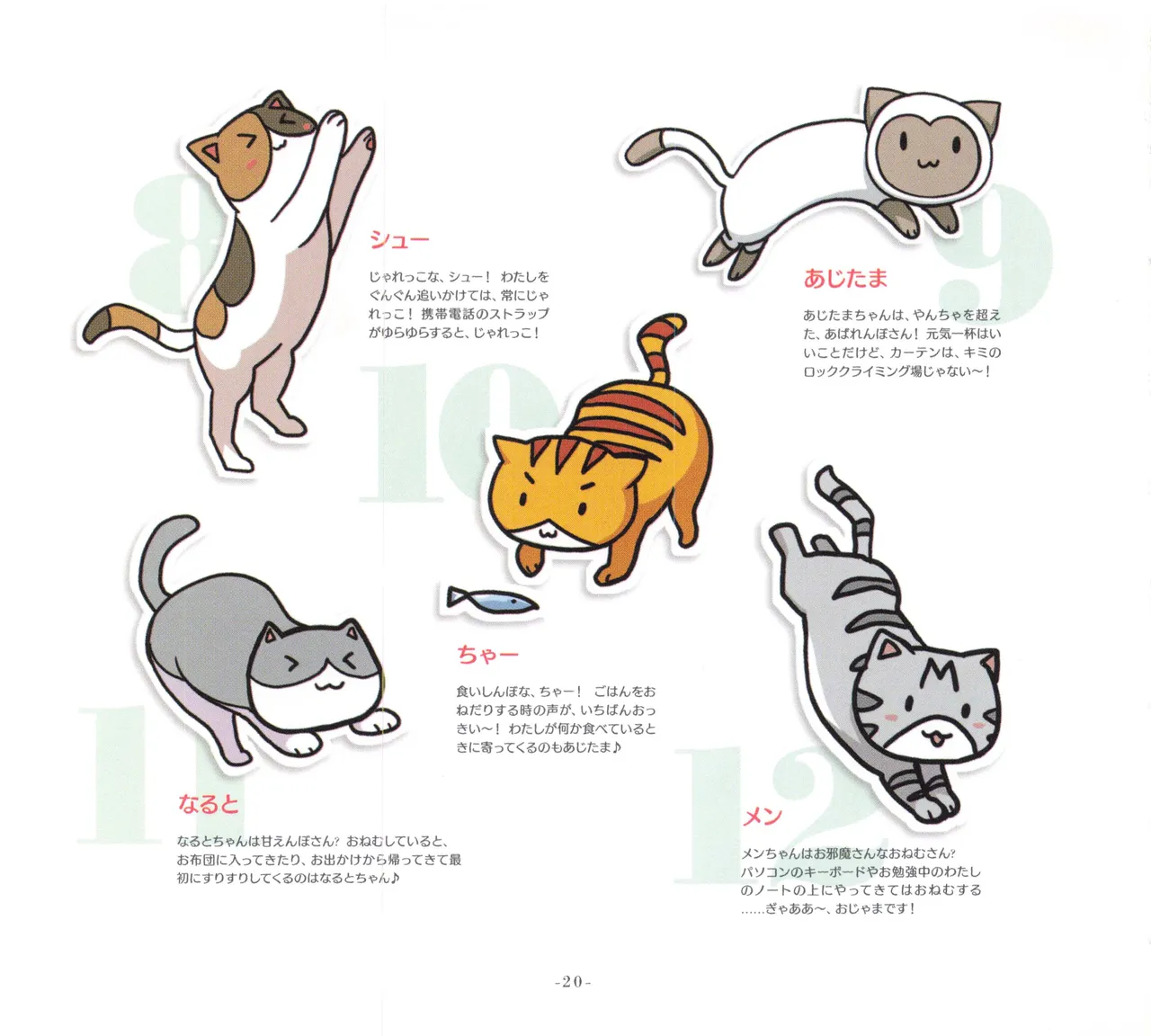 Sonicomi Limited Edition Super Sonico Private Book Page.21