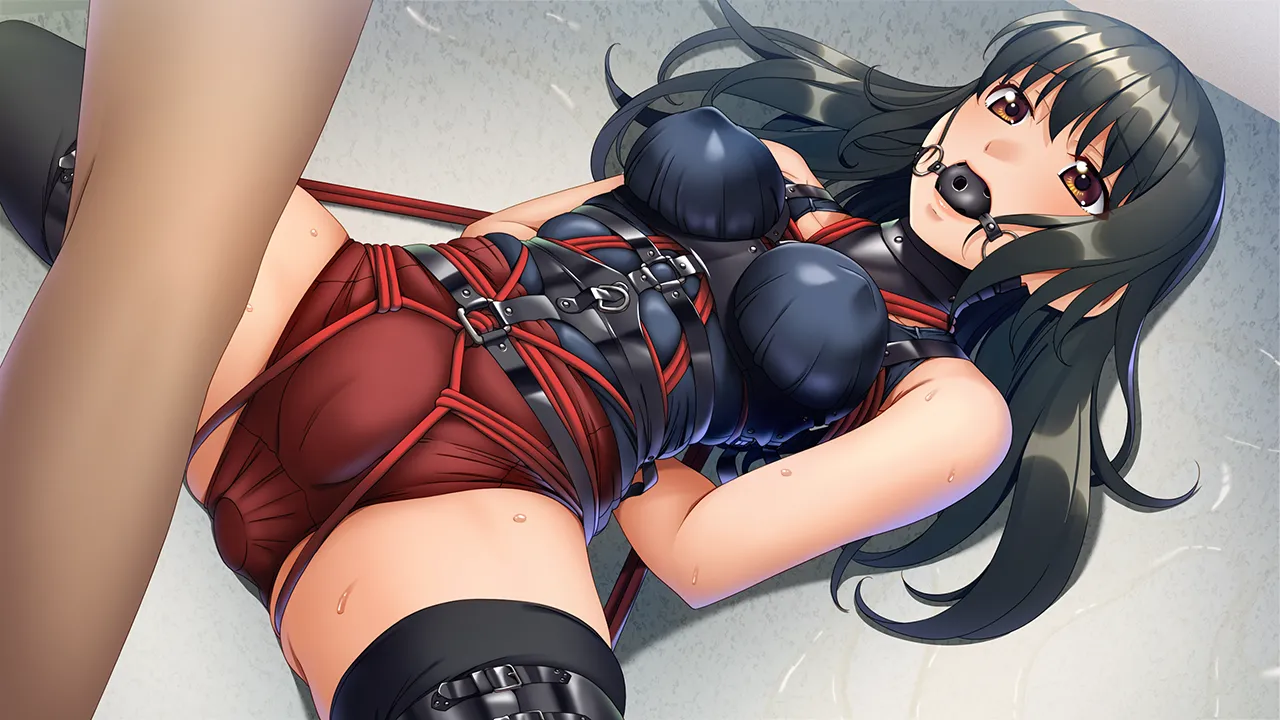 NC20 SKBondage Personal Collection Page.5