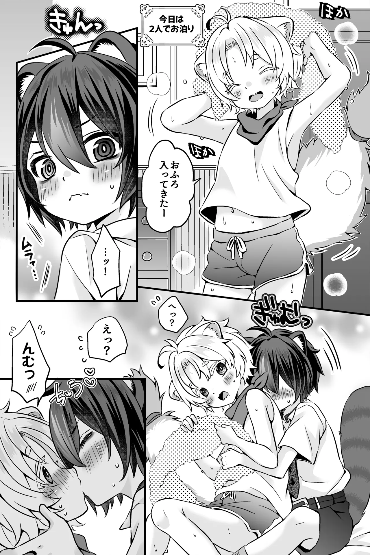 アライグマとフェレットの男の子たちの漫画 Page.1